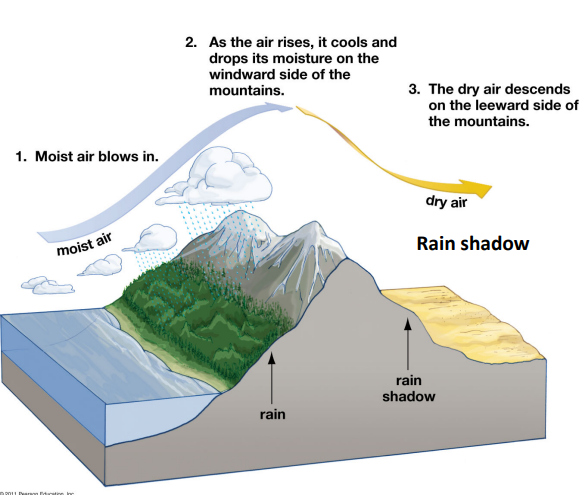 <p>Rain shadow </p>
