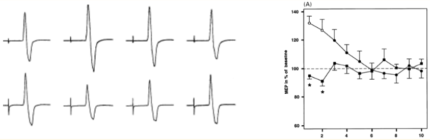 <ul><li><p><span>MEPs are sensitive to learning and neuroplasticity</span></p></li><li><p><span>amplitude of MEPs is enhanced&nbsp;in the group learning the motor skill for a period of time (~5 minutes)</span></p></li><li><p><span>can measure broad markers of neuroplasticity in humans using TMS</span></p></li><li><p><span>not as good as invasive tools, but it is an ethical&nbsp;window&nbsp;into understanding</span></p></li></ul><p></p>