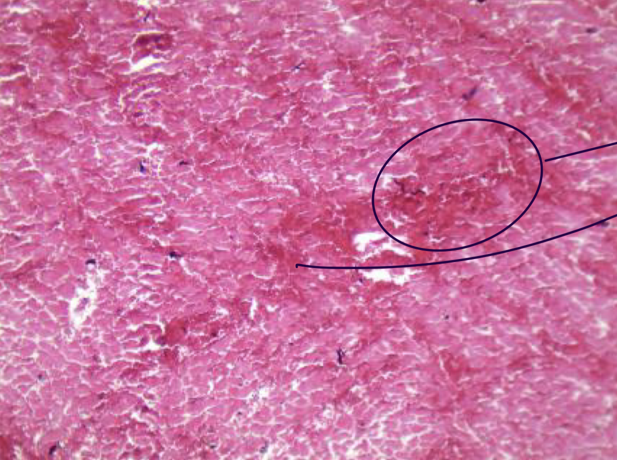 <p>Identify</p>