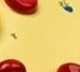 <p>What is the yellow called?</p>