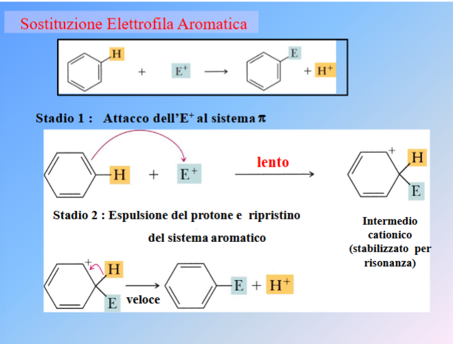 <ol><li><p>Primo stadio analogo agli alcheni → si forma il legame con l’elettrofilo (E<sup>+ </sup>si attaca al sistema π) e quindi si forma un intermedio attivo - un carbocatione - stabilizzato per risonanza. Questo è lo stadio più lento che determina la velocità di reazione</p></li><li><p>Secondo stadio espellsione del protone (H<sup>+</sup>) per ripristinare  il sistema aromatico. Questo è lo stadio più veloce</p></li></ol><p></p>