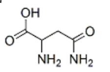 <p>NH2 NH2</p>