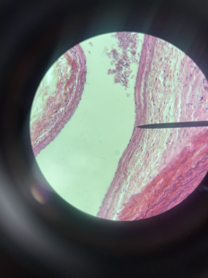 <p>structure name + layer name</p>