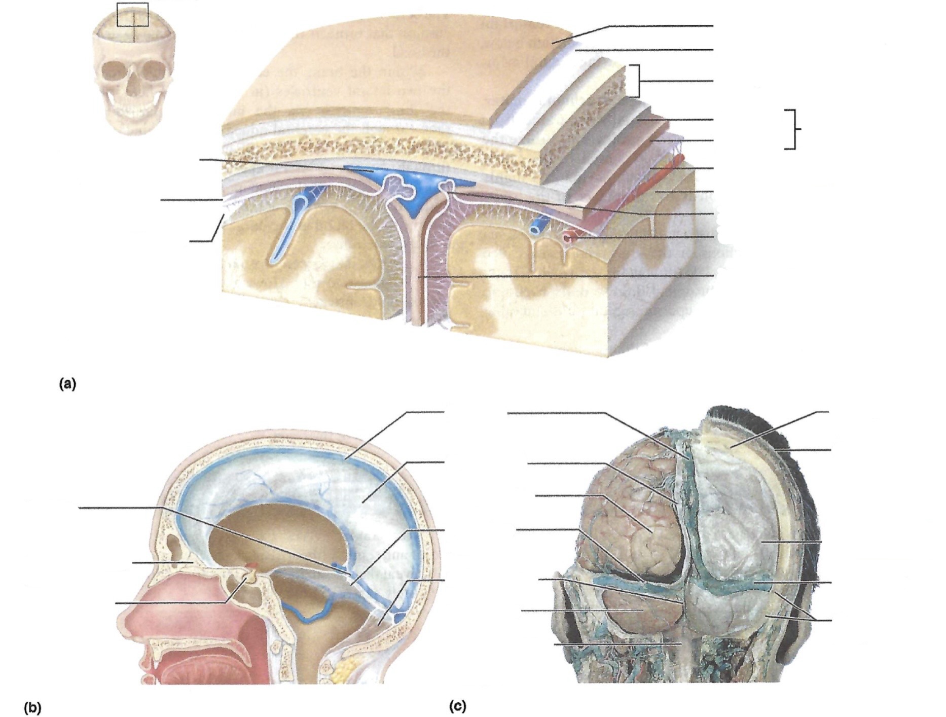 <p><a target="_blank" rel="noopener noreferrer nofollow" class="link" href="https://assets.knowt.com/user-attachments/cc71be10-76c3-45c1-822d-910bc7f2b127.jpg" data-prevent-progress="true">https://assets.knowt.com/user-attachments/cc71be10-76c3-45c1-822d-910bc7f2b127.jpg</a></p>