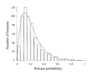 <p><span style="font-family: "Helvetica Light";">&nbsp;- the release probability of central synapses can range from extremely high, to vanishingly low—this distribution is centered around an average Pr of ~ 0.3.</span></p><p></p>