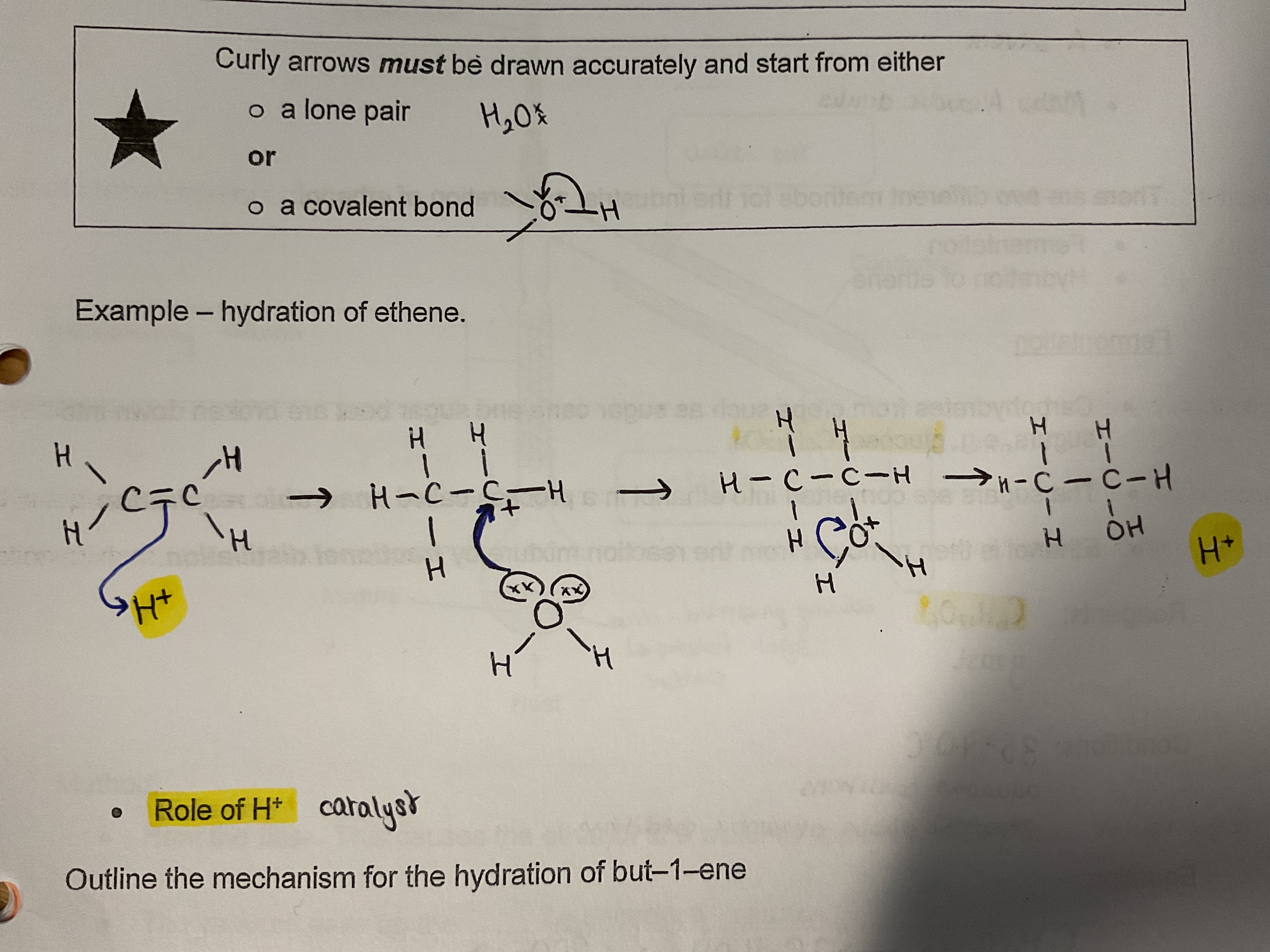 <ul><li><p>H<sup>+ </sup>is taken by the double bond</p></li><li><p>Starfish does the splits and the H is added (be mindful of the position)</p></li><li><p>Water with micky mouse ears (curly arrow from lone pair on water to carbocation)</p></li><li><p>Arrow from hydrogen on water to oxygen carbocation</p></li><li><p>Product and H<sup>+ </sup>ions form</p></li><li><p>H<sup>+ </sup>role : catalyst </p></li></ul><p></p>