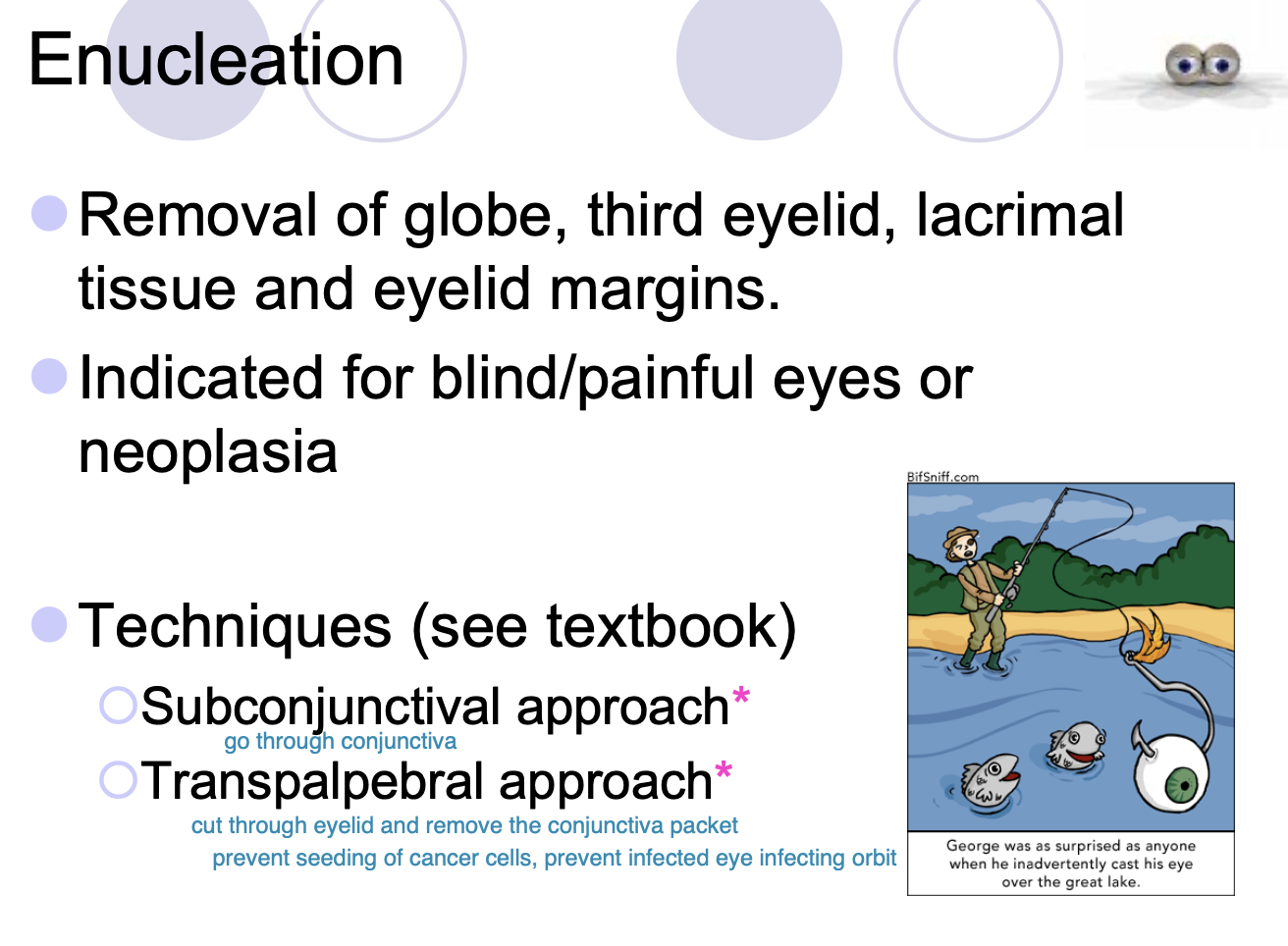 <p><strong>Subconjunctival approach.</strong></p><p><strong>Transpalpebral approach - harder to do and takes longer, but more ideal for containment of potential infection/neoplasia.</strong></p>