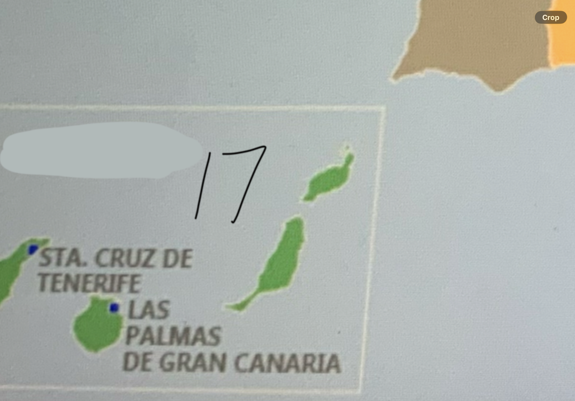 <p>17</p>