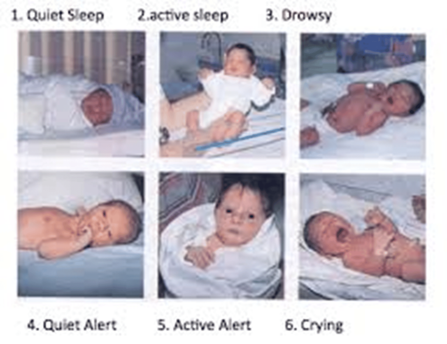 <p>- Assesses<strong> motor organization</strong></p><p>- Measure neonate's responses to the environment</p><p>- NBAS takes about 30 minutes</p>