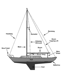 <p>The part of the rigging that is attached to the bow of the boat that keeps the mast from falling backwards.</p>