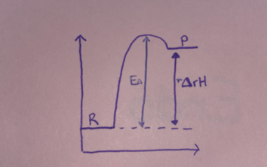 <p>Exo/Endo?</p>