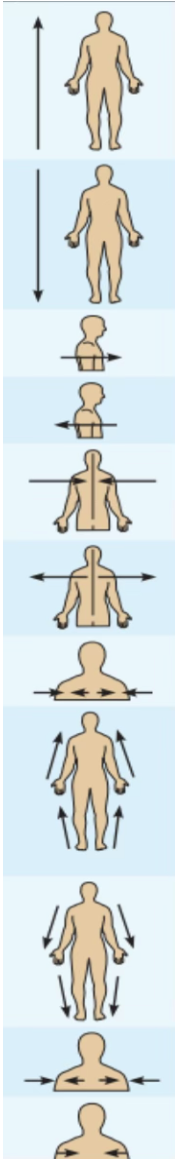 <p>Name the directional terms</p>