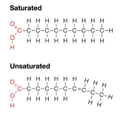 <p>A lipid consisting of a long hydrocarbon chain (consists of C and H atoms) bonded to a carboxyl group</p><p>Can be saturated or unsaturated</p>