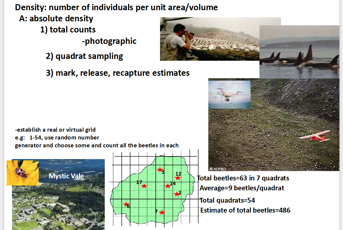 <ol><li><p>Total counts: use photography or drones</p></li><li><p>Quadrant sampling: counting individuals with a small defined sample area to estimate population over a much larger area</p></li><li><p>Mark, release, recapture estimates: trap a sample of animals, release them and use the ratio of marked and unmarked animals in later catch to calculate total population size.</p></li></ol><p></p>