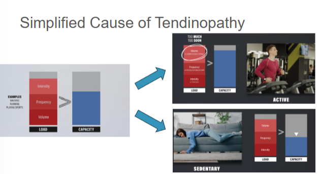 <ul><li><p>Understanding and monitoring pain</p></li><li><p>Load management and activity modifications</p></li><li><p>Understand rehab stages</p></li></ul><p></p>