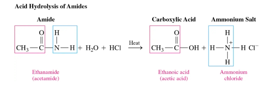 <p><span>involves heating it with an aqueous acid (like HCl) to break the amide bond, yielding a carboxylic acid and an ammonium salt</span></p>