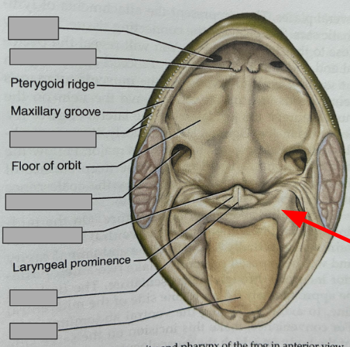 <p>What part of the organism is this?</p>