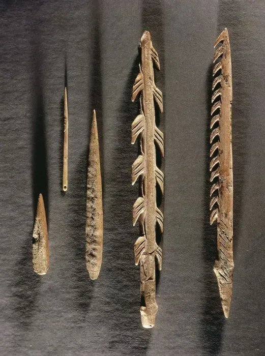 <ul><li><p>Bone, ivory, and antler tools</p></li><li><p>Burin (chisel like cutter) - making tools to make tools</p></li><li><p>Fine needles</p></li><li><p>Barbed spear points and throwers</p></li><li><p>Hooks</p></li></ul><p></p>