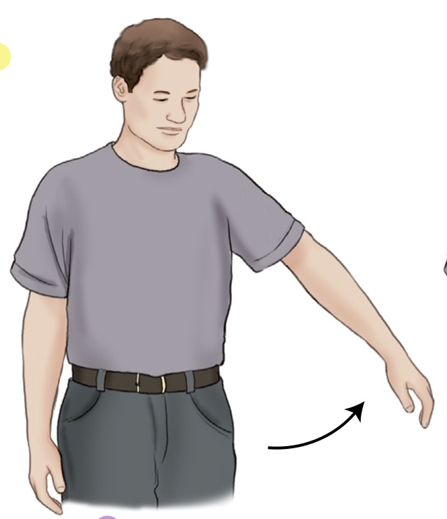 <p>what is the name of the movement where you move a part of the body away?</p>