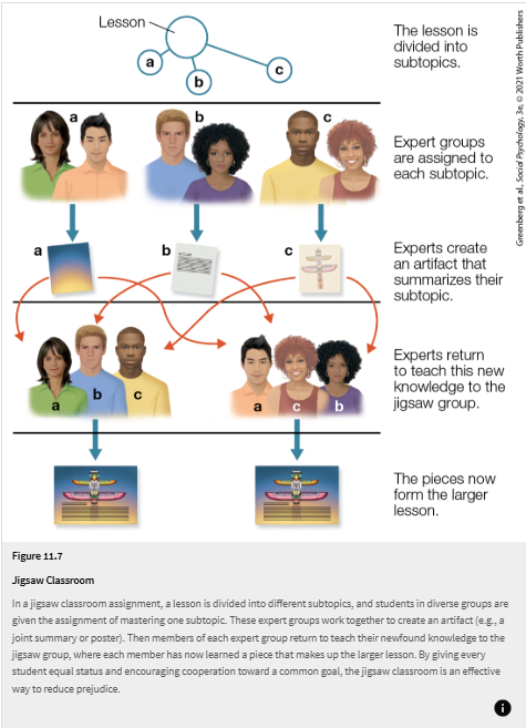 <ul><li><p>A cooperative learning strategy designed to reduce prejudice and improve intergroup relations</p></li><li><p>The class is divided into racially mixed small groups</p></li><li><p>Each student is assigned one subtopic of the lesson</p></li><li><p>Students with the same subtopic meet in expert groups to learn and prepare material</p></li><li><p>They then return to their original group and teach their section to teammates</p></li><li><p>Success depends on interdependence and cooperation, since each person holds an important piece of the lesson</p></li></ul><p><strong>Conclusion:</strong><br>The jigsaw classroom reduces prejudice by promoting equal-status contact, cooperation, and shared goals.</p>
