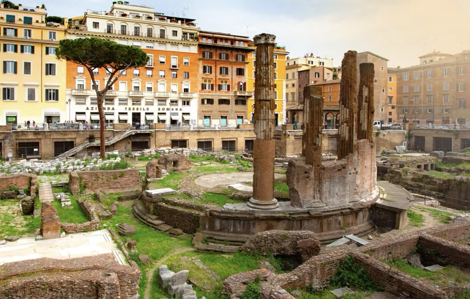 <p>Largo di Torre Argentina </p>
