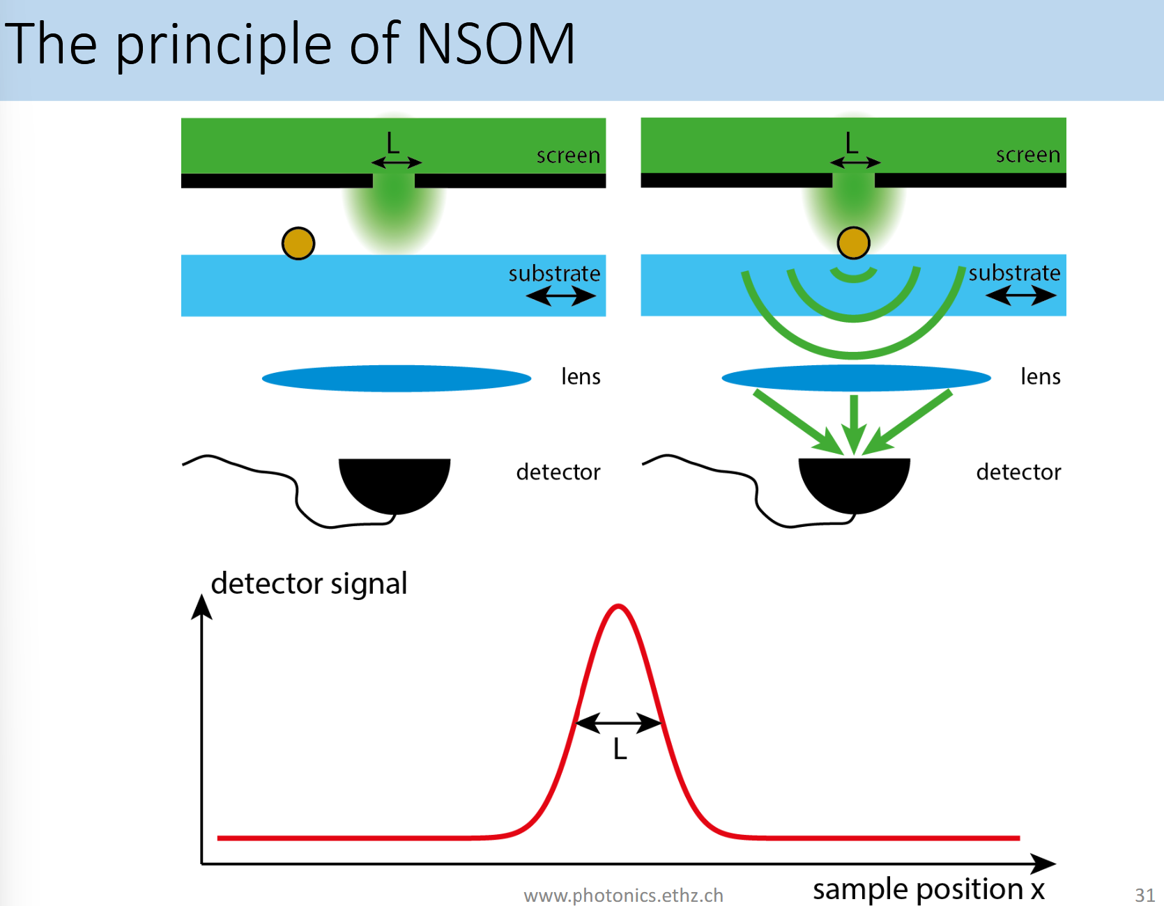 <p>NSOM = Near-field scanning optical microscope.<br>Light passes through a tiny aperture L < < Lambda. Fields are evanescent and decay rapidly. If a particle is in the region of evanescent fields it acts as a dipole scatterer and scatters (our probably more in line with th ecourse → fluorescence) propagating photons which than can be collected. With this method the diffraction limit can be beat.</p>