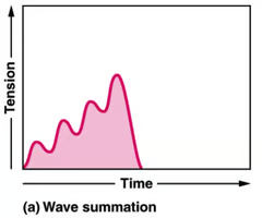 <p>Summation</p>