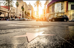 <p>What is this attraction?</p>