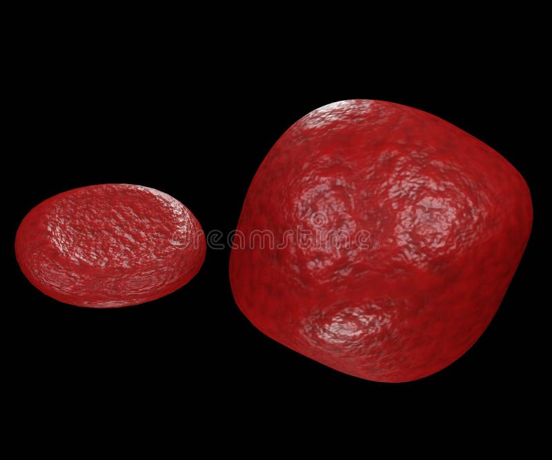 <p>Concentration inside of cell is higher than outside</p>