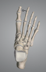 <p>e</p>