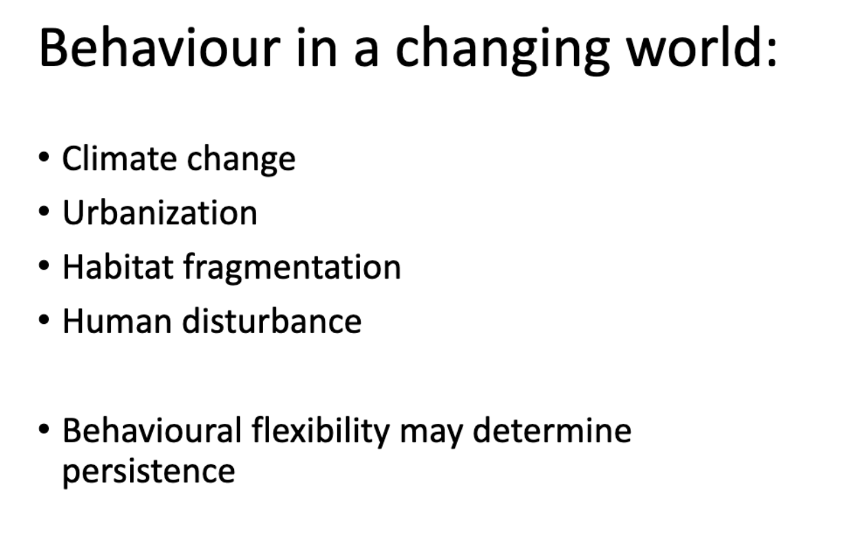 <p>info card flip for take home on what behavioral ecology explains! </p>