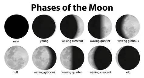 <p>8 phases</p>