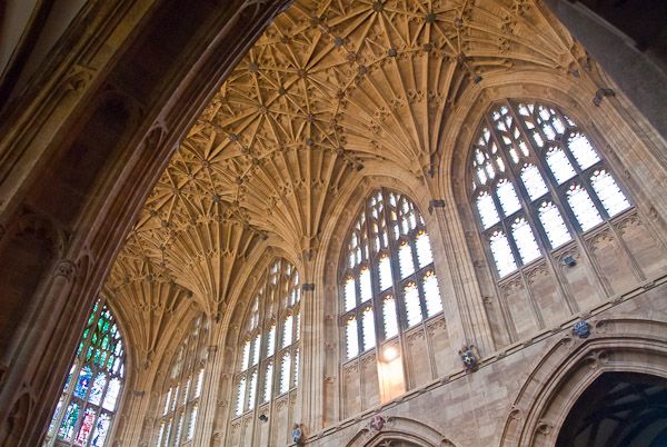 <p>the windows</p>