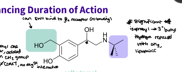 <p>Salbutamol ( albuterol)</p><ul><li><p>A more subtle change – a group shift <strong>(OH moved carbon over, added a methyl</strong>), Phenol replaced by a hydroxymethyl group</p></li></ul><ul><li><p>Still able to H-bond; additional small change to N substituent – isopropyl to tert-butyl</p></li><li><p>Same potency as isoprenaline 2000x <strong>more selective to β2</strong></p></li></ul><ul><li><p>Increased duration of action of 4 hours ( does not cover night)</p></li><li><p>Not metabolised by COMT</p></li><li><p>Slower metabolism to an inactive sulfate derivative ( longer)</p></li></ul><p>Salbutamol is a racemic mixture</p><p>R form is 68x more effective – has been marketed as <strong>levalbuterol (sal is cheaper)</strong></p><p></p>