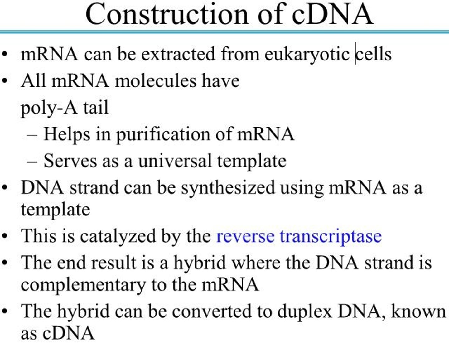 <p>As more and more genome sequences become available, the utility of genomic libraries is diminishing and investigators are constructing more specialized libraries designed to study gene function. An example is a library that includes only those genes that are expressed—that is, are transcribed into RNA—in a given organism or even in certain cells or tissues. Such a library lacks the noncoding DNA that makes up a large portion of many eukaryotic genomes. The researcher first extracts mRNA from an organism or from specific cells of an or ganism and then prepares complementary DNAs (cDNAs) from the RNA in a multistep reaction catalyzed by the enzyme reverse transcriptase. The resulting double-stranded DNA fragments are then inserted into a suitable vector and cloned, creating a population of clones called a cDNA library. The search for a particular gene is made easier by focusing on a cDNA library generated from the mRNAs of a cell known to express that gene.</p>