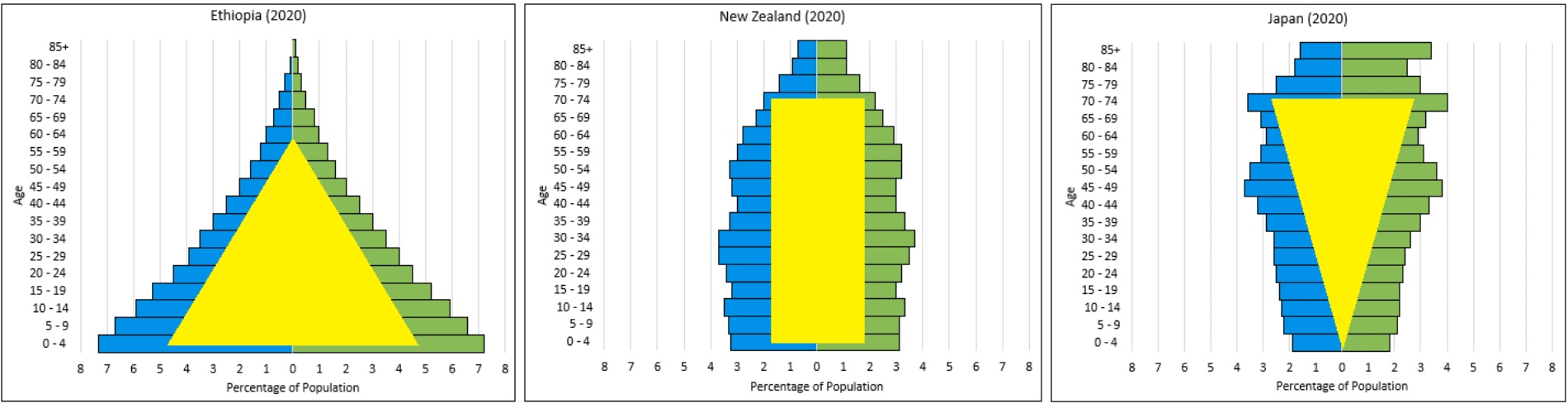 <p>Graphical illustration showing the distribution of various age groups divided by gender</p><p>Used to assess population growth and decline </p><p>Predict markets for goods and services </p>