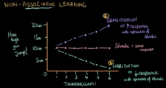 <p>A simple form of learning that occurs when the presentation of a stimulus leads to an increased response to a later stimulus</p>