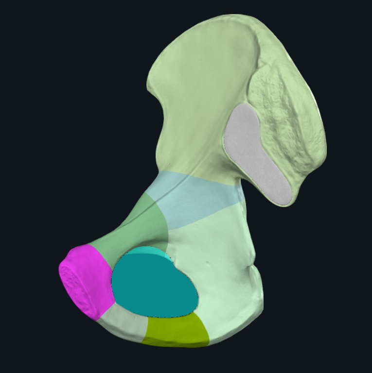term image