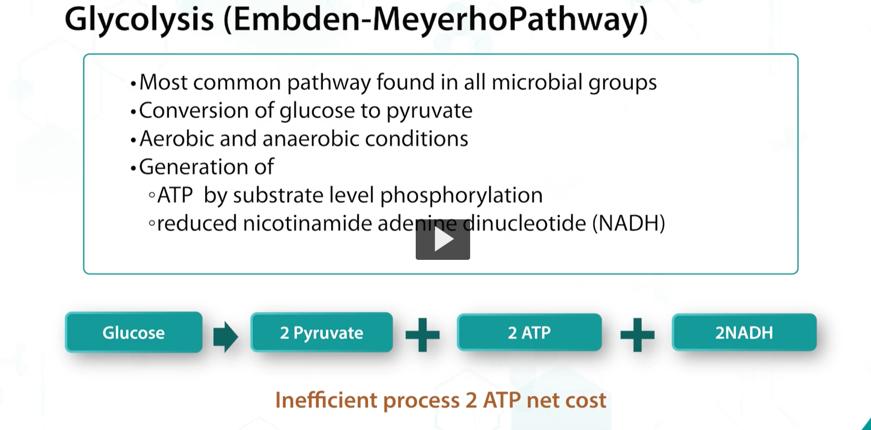 <p>The last transport mechanism is <strong>group translocation</strong>, for example, glucose transport in bacteria. In this process, a series of proteins (including a permease) chemically modifies the substrate during transport by <strong>phosphorylation</strong>, using energy derived from <strong>phosphoenolpyruvate (PEP)</strong>.</p>