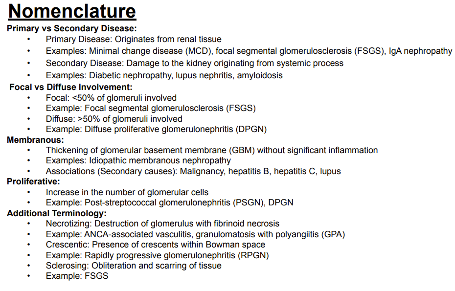<p>Answer: Diffuse proliferative glomerulonephritis.</p><p>Extra Information:</p><ul><li><p>Diffuse means greater than 50% of glomeruli are involved.</p></li></ul><p></p>