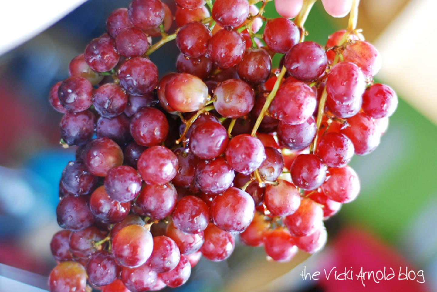 <p>grape - /ɡreɪp/ [c]</p>