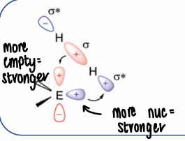 <p>The main group donates the lone pair to the dihydrogen sigma* and accepts electrons from the dihydrogen. This occurs via a more nucleophilic pathway.</p><ul><li><p>The more nucleophilic the lone pair, the stronger the interaction.</p></li><li><p>The more empty the p orbitals, the stronger the interaction.</p></li></ul><p></p>