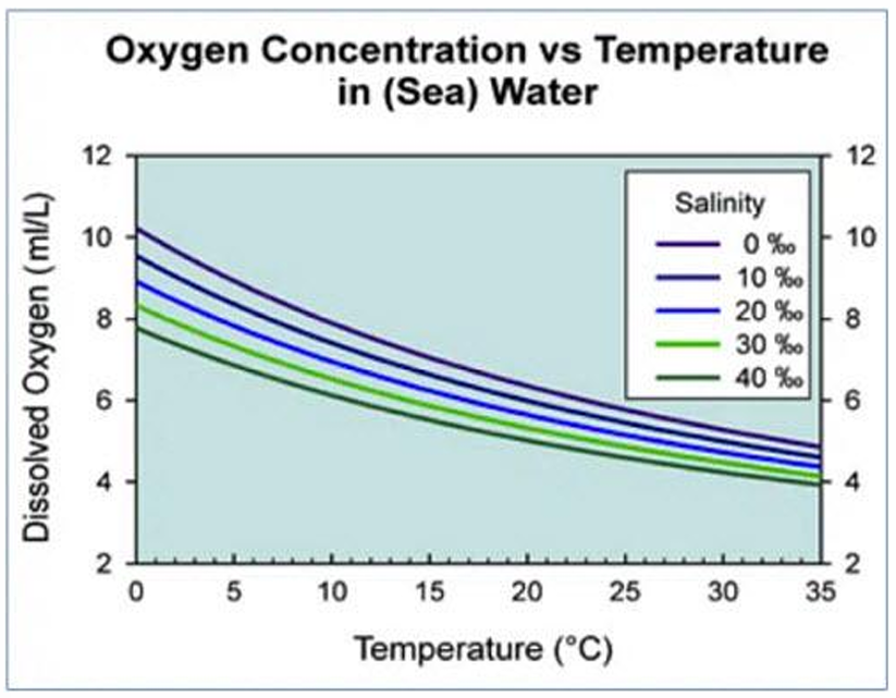 <ul><li><p>temp can’t affect O<sub>2</sub> content </p></li><li><p><strong>turbidity </strong>- mvmt of water</p><ul><li><p>flower water → ↑ O<sub>2</sub> </p></li></ul></li><li><p>most important → temp &amp; rain </p></li></ul><p></p>