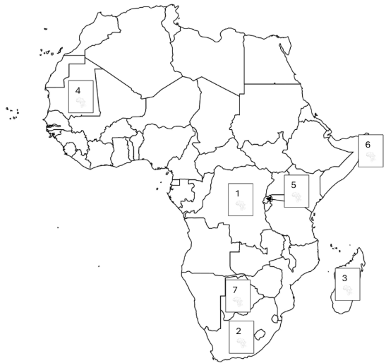 <p>Name these countries </p>
