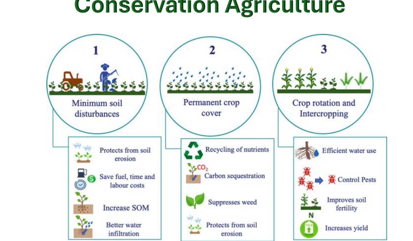 <p>Conservation Agriculture (CA) – Principle 2</p>