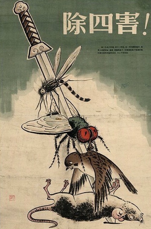 <p>What was the Four Pests Campaign?</p>