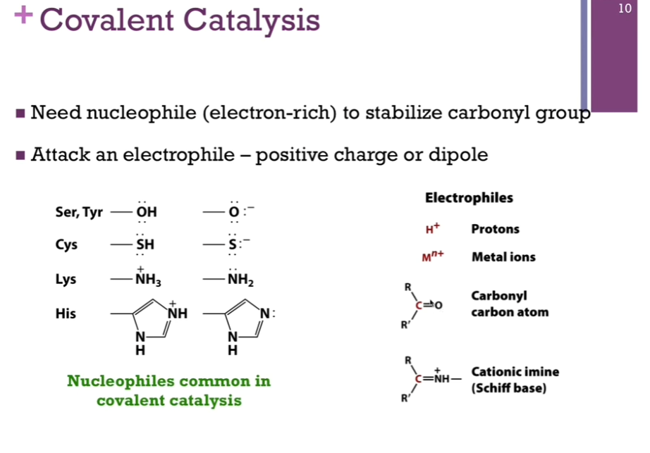 <p>Need nucleophile (electron-rich) to stabilize carbonyl group. </p><p>Attack an electrophile. </p><p>Nucleophiles common in covalent catalysis: Ser, Tyr, Cys, Lys, His. </p><p>Electrophiles: Protons, metal ions, carbonyl carbon atoms, cationic imine (Schiff base).</p><p>Look at schematic!</p>