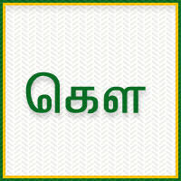 term image