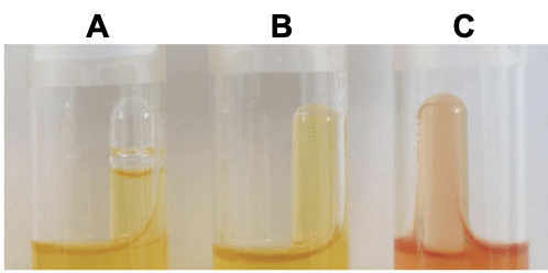 <p>Which tube matches what you would expect to see if the byproduct of the microorganism is ethanol, carbon dioxide, hydrogen gas, formic, lactic, acetic, and succinic acids</p>