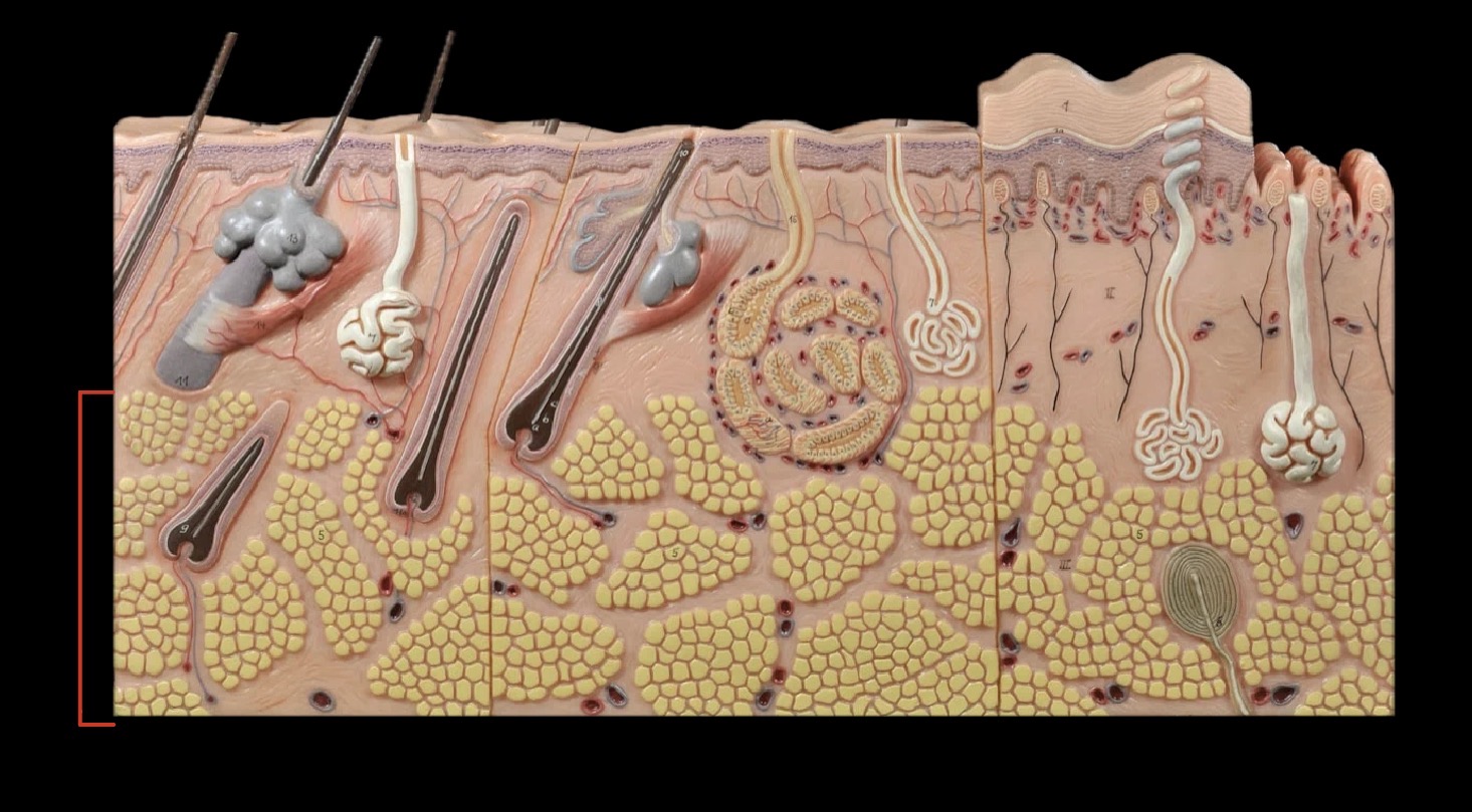 <p>What layer is this?</p>